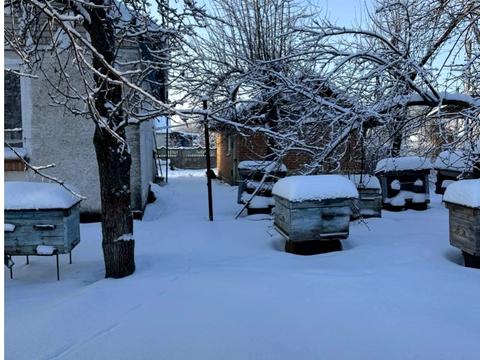 будинок за адресою Заводська