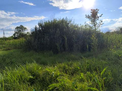 ділянка за адресою Круківська