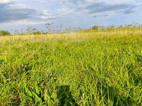 ділянка за адресою Круківська