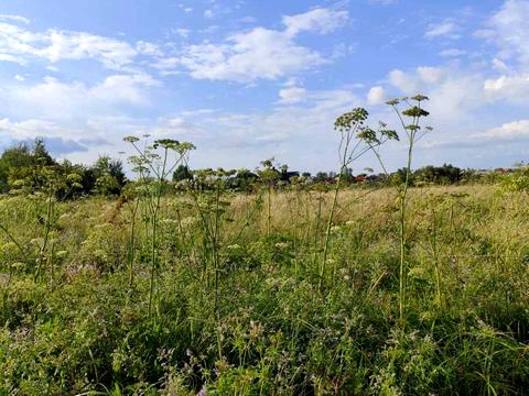ділянка за адресою Круківська