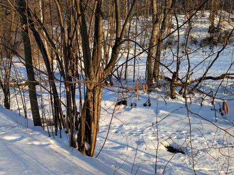 участок по адресу 