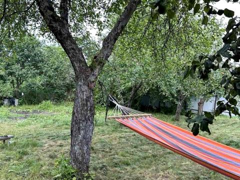 участок по адресу Виноградна