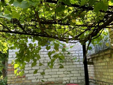 участок по адресу Виноградна