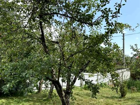 участок по адресу Виноградна