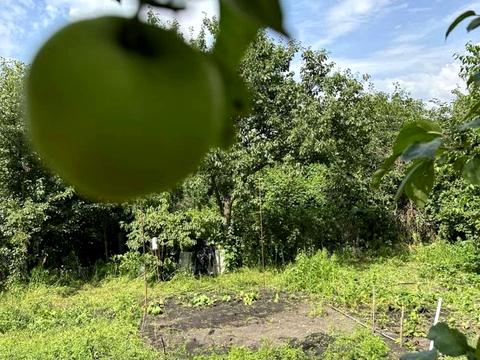 участок по адресу Виноградна