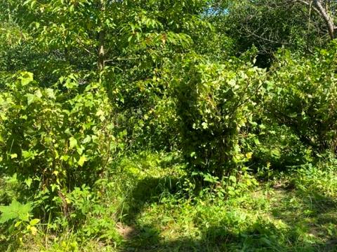 будинок за адресою Підлісна, 5