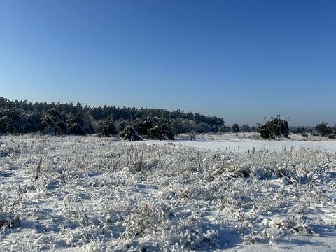 ділянка за адресою П. Бондаренка