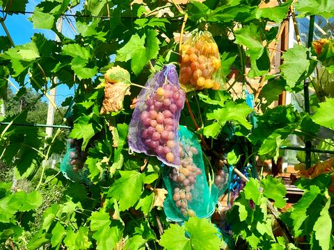 будинок за адресою без назви