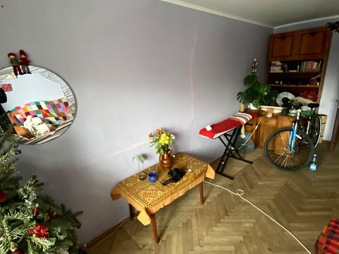 квартира за адресою Львів, Панаса Мирного вул., 43