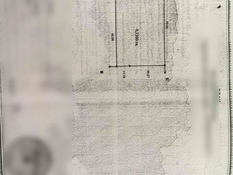 ділянка за адресою с. Мирне, 