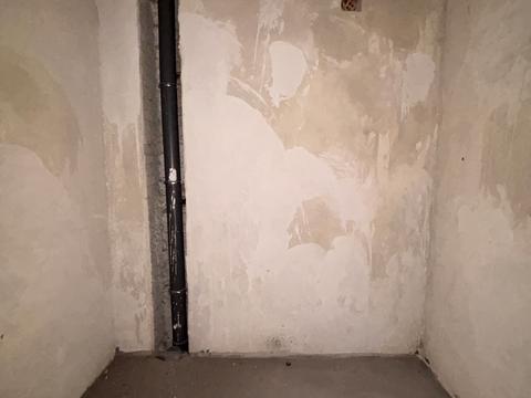 квартира за адресою Олександра Довженка вул., (Будинок 11)