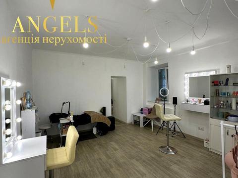 комерційна за адресою В'ячеслава Чорновола вул., 5/3