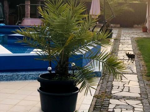 будинок за адресою Садова, 52а