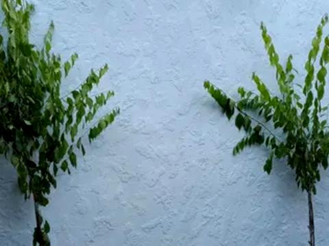 будинок за адресою Дніпро, Весела вул.