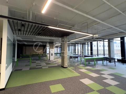 комерційна за адресою зоологічна, 3