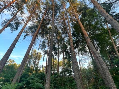 будинок за адресою Абрикосова вул., 100