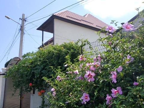 будинок за адресою 2-й Китобійний пров.