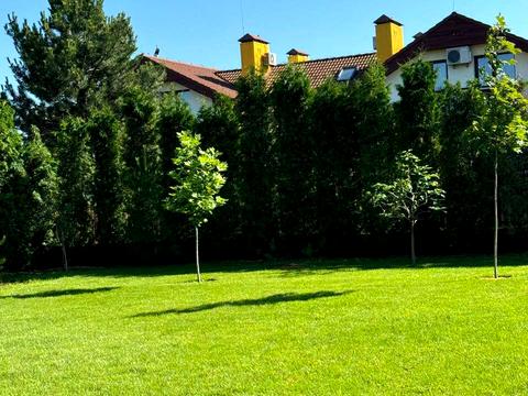 дом по адресу Наливайка