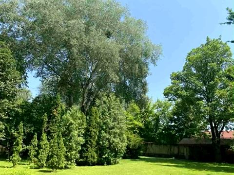 дом по адресу Художественная ул., 7