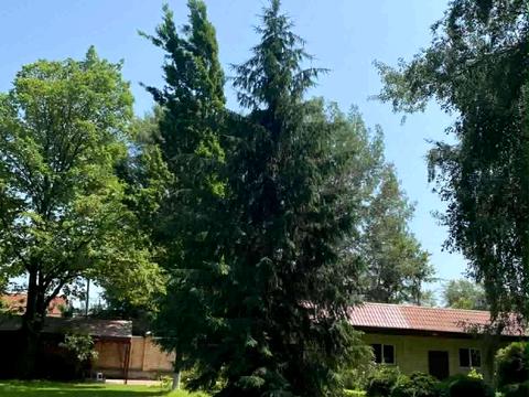 дом по адресу Художественная ул., 7