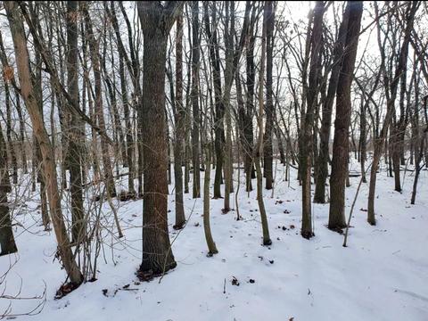 ділянка за адресою Ірпінь, Лугова вул.