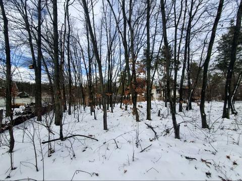 ділянка за адресою Ірпінь, Лугова вул.