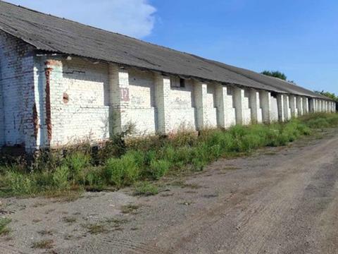 коммерческая по адресу вул. Витківська, 35