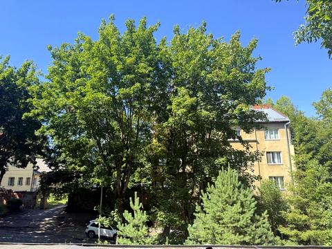 квартира за адресою Івана Карпинця вул. (), 5