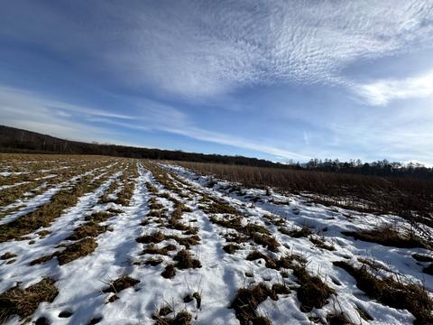 участок по адресу Зубрівська