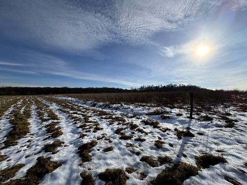 участок по адресу Зубрівська