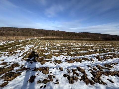 участок по адресу Зубрівська
