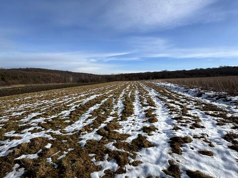 участок по адресу Зубрівська