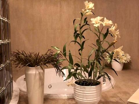 квартира за адресою Шевченка просп., 29а