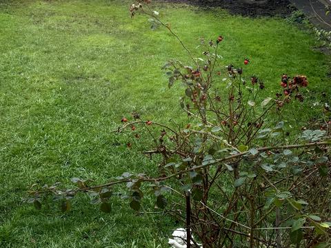 будинок за адресою Лісова вул.