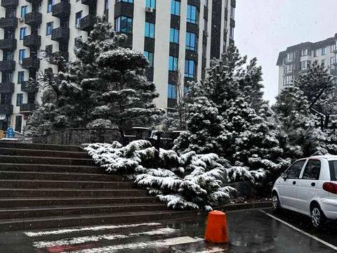 комерційна за адресою с. Софіївська Борщагівка, Героїв Небесної Сотні просп., 45