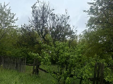 участок по адресу 