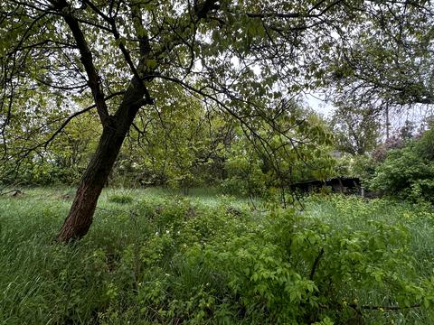 ділянка за адресою 