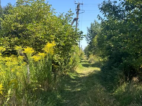 участок по адресу Миру