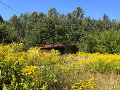 участок по адресу Миру