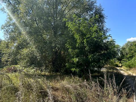 ділянка за адресою 