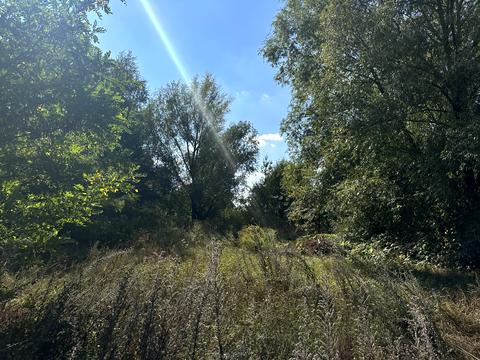 ділянка за адресою 