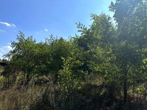 ділянка за адресою 