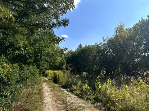 ділянка за адресою 