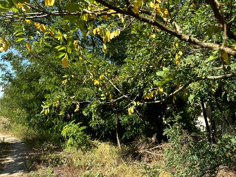 ділянка за адресою 