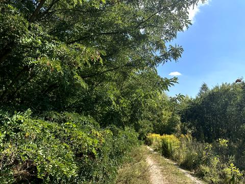 ділянка за адресою 