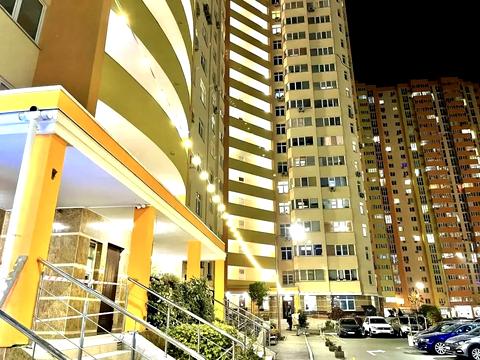 квартира за адресою Сім'ї Кульженків вул. (Петра Дегтяренка), 37