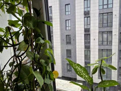 квартира за адресою Варненська вул., 12/2