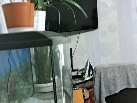 квартира по адресу Бучмы ул. (Командарма Уборевича), 50б