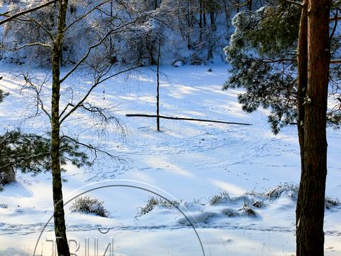 ділянка за адресою 