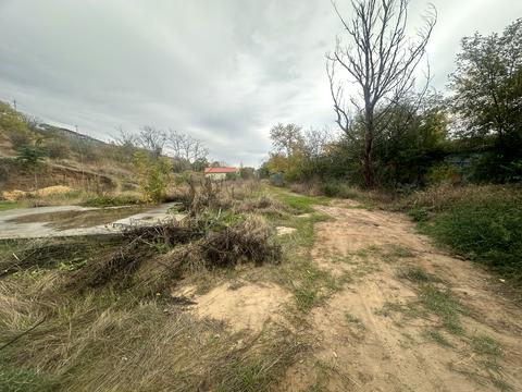 ділянка за адресою с. Молодіжне, Берегова, 1